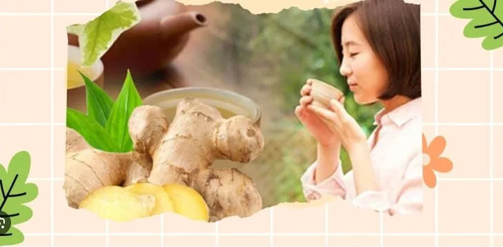 bo-tui-bi-kip-meo-vat-chua-kho-mieng-hieu-qua-a3