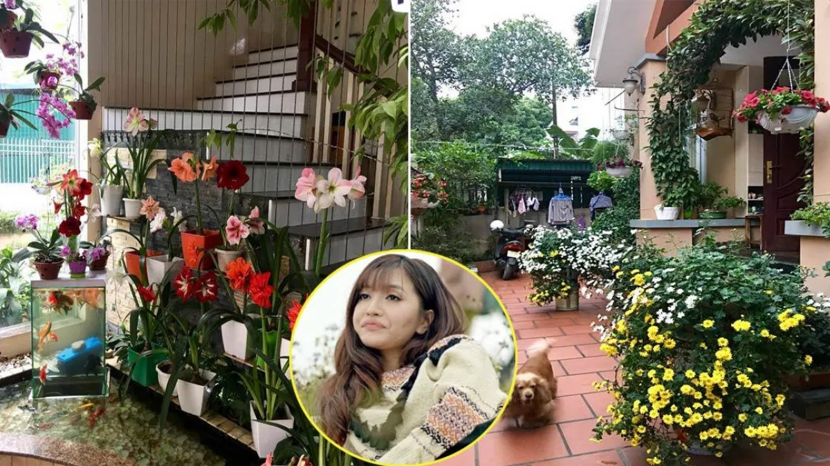 nang-tho-showbiz-ca-si-bich-phuong-nam-2026-bao-nhieu-tuoi-111a