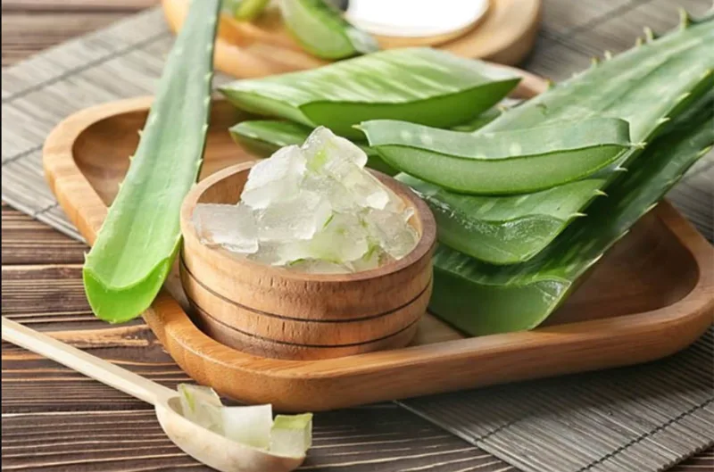 Lá nha đam tươi, nước sạch và dụng cụ vệ sinh là những nguyên liệu cơ bản cần chuẩn bị