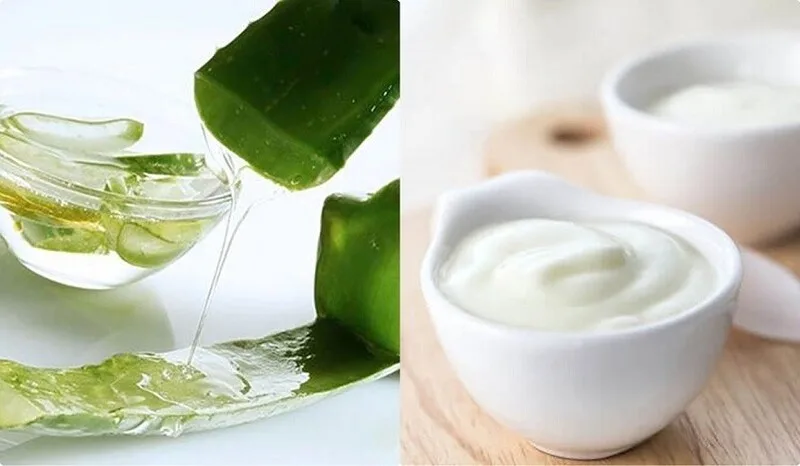 Nha đam kết hợp sữa chua không đường tạo hỗn hợp mềm, dễ thoa lên da
