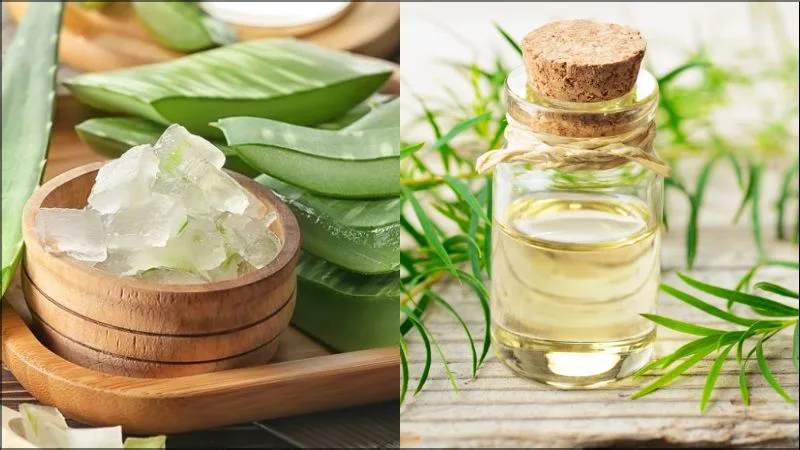 Da khô có thể kết hợp lượng nhỏ gel nha đam với loại kem dưỡng đã dung nạp tốt
