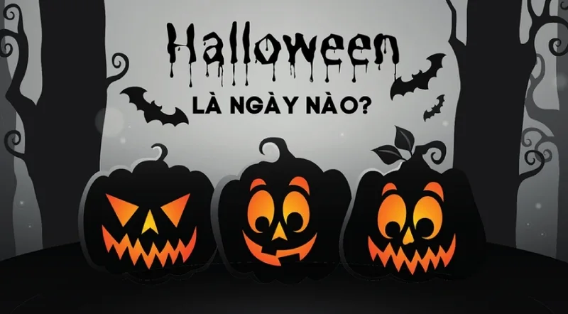 Halloween diễn ra cố định vào ngày 31/10 hằng năm, với các hoạt động chính bắt đầu từ chiều tối và kéo dài đến nửa đêm.