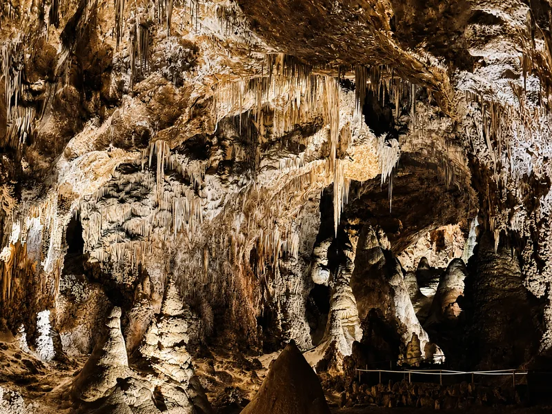 Carlsbad Cavern nổi tiếng với Big Room rộng lớn cùng hệ thống thạch nhũ dày đặc